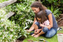 چگونه با کودک گیاهان ثمربخش بکاریم؟